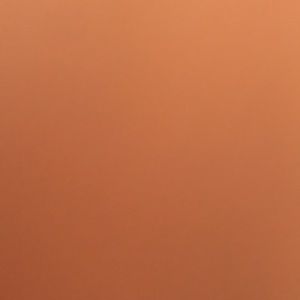 Meet your Posher, Shawna